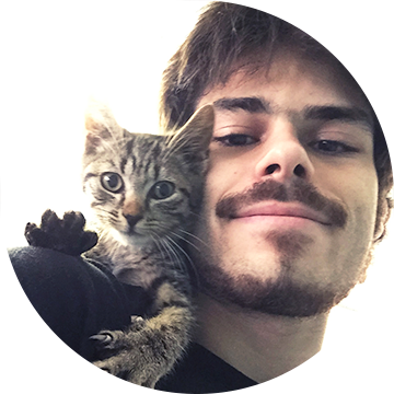 Adam Rapillo - Domestic Short-haired Cat (360x360), Png Download