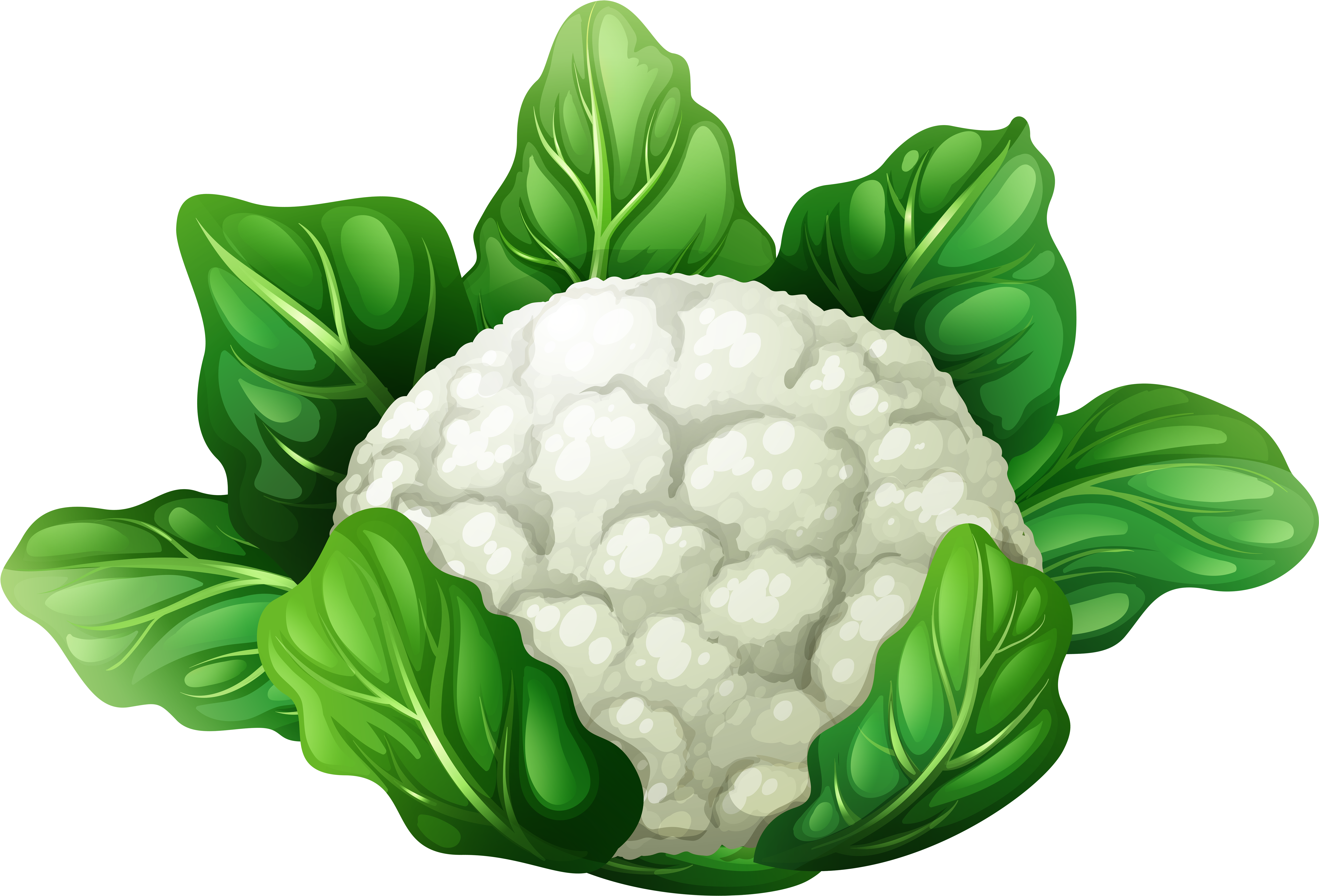Png Clip Art Best Web - Clip Art Of Cauliflower (8000x5454), Png Download