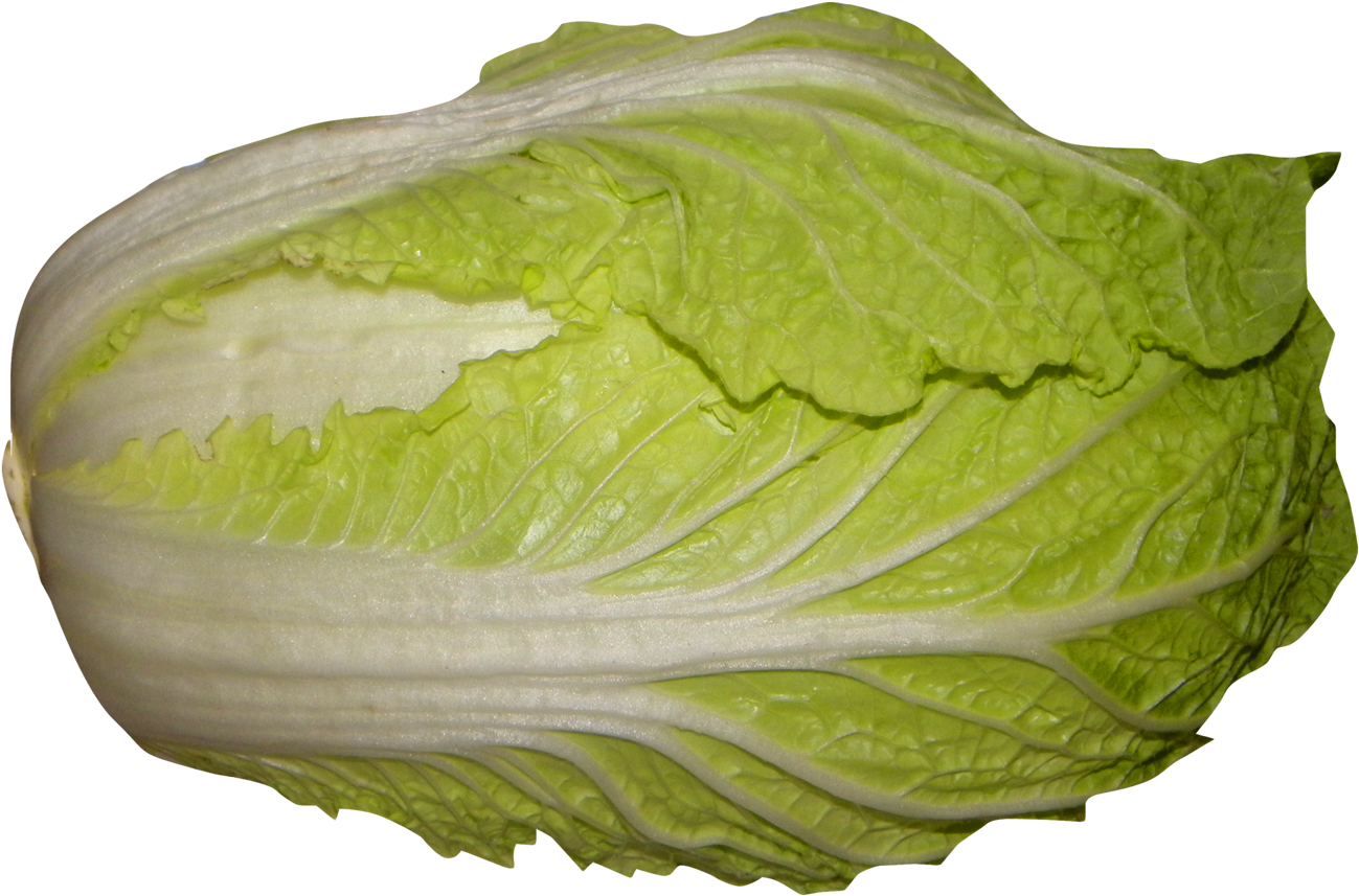 Napa Cabbage Png Image - Napa Cabbage Png (1375x920), Png Download