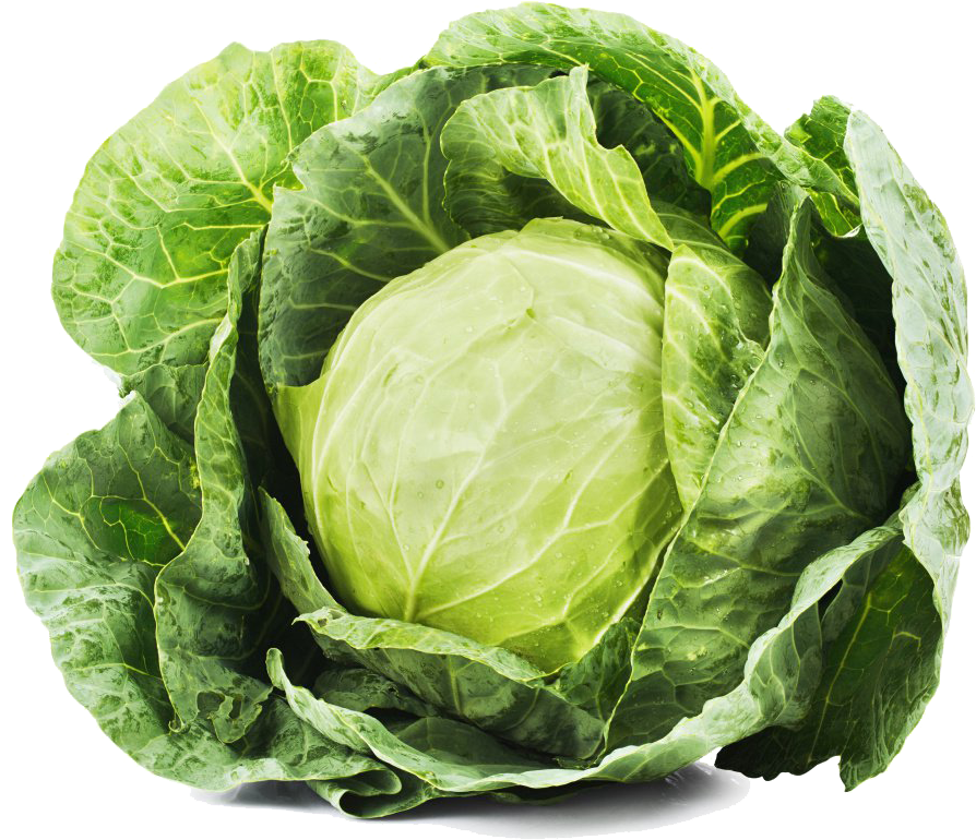 Cabbage Transparent Image (1000x849), Png Download