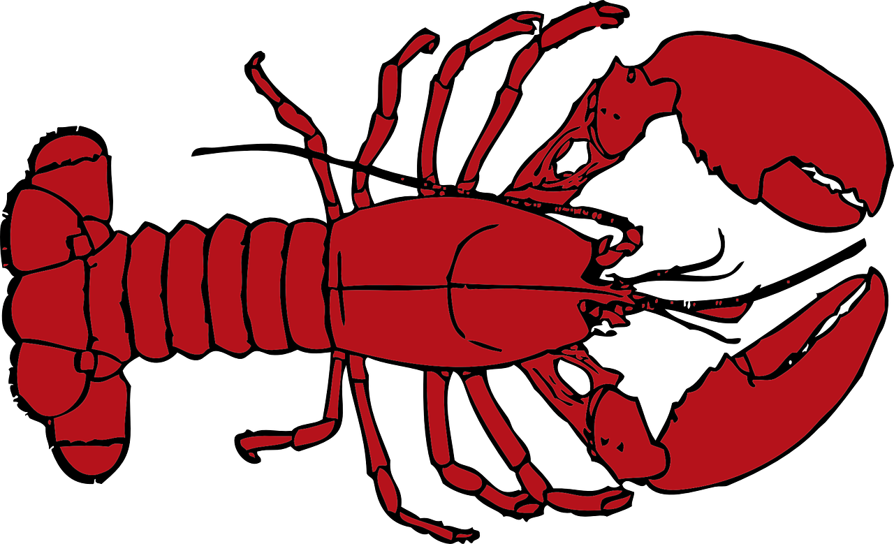 Free Stock Lobster Clip Art At Clker Com Vector - Lobster Clipart Transparent Background (600x360), Png Download