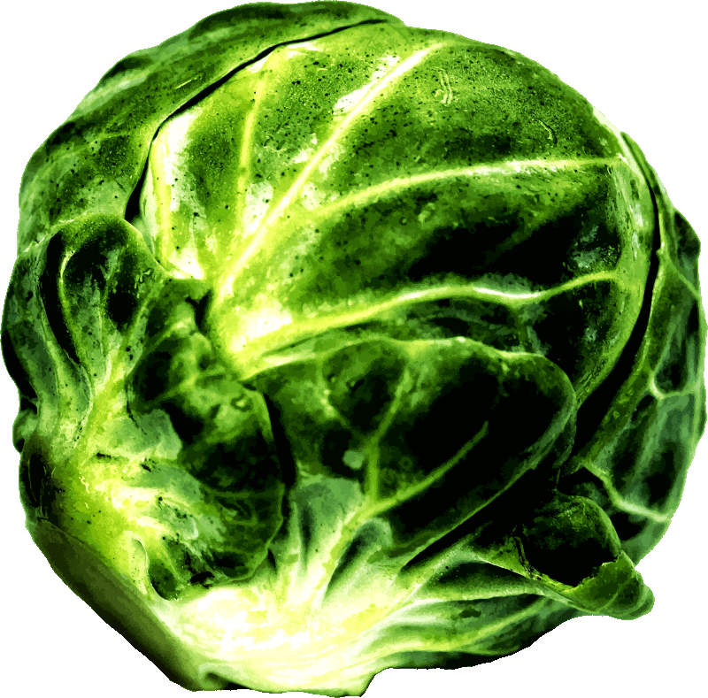 Something People Want Or Something They Need - Brussels Sprouts Clip Art (800x789), Png Download