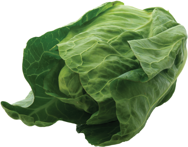 Ct York Cabbage - Connecticut (800x800), Png Download