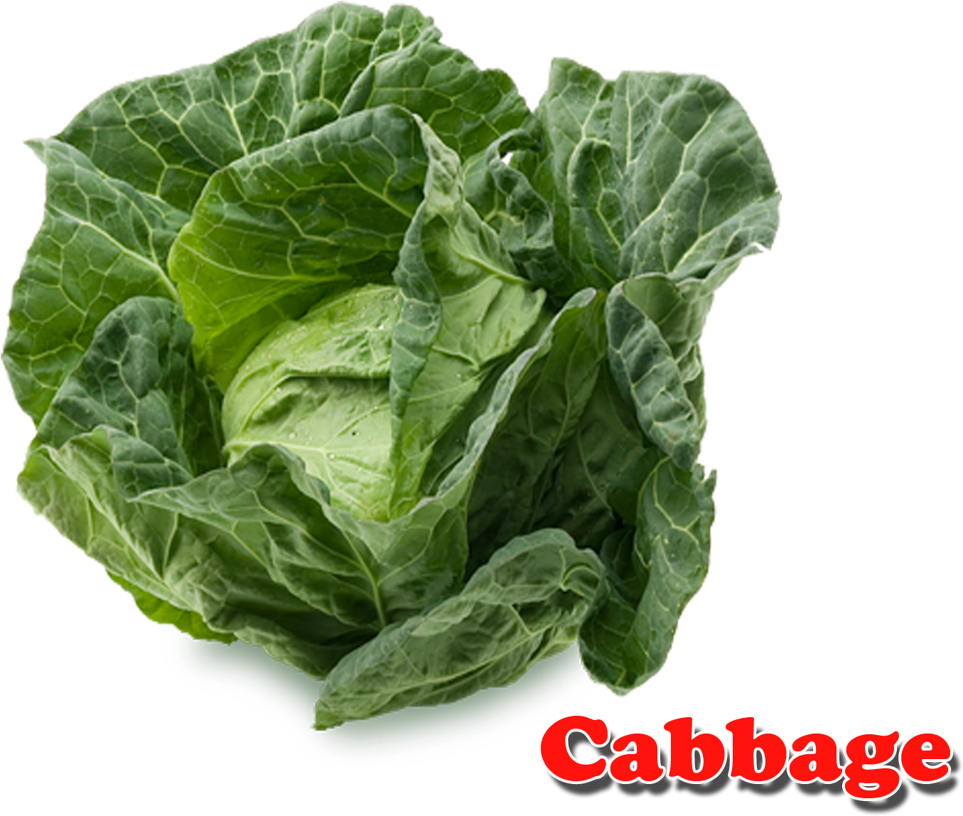 Cabbage Png (1920x1200), Png Download