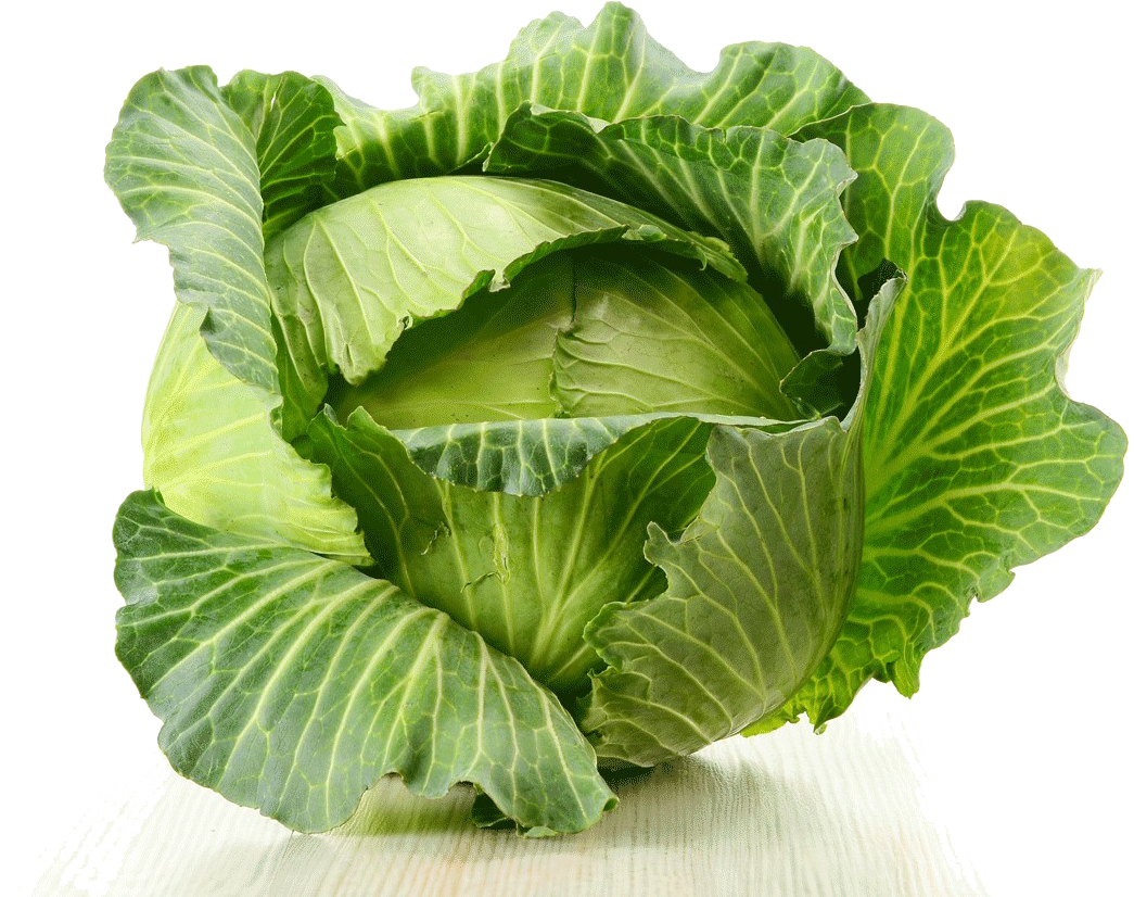 Cabbage Png Image - Top View Plant Top Photoshop (1200x883), Png Download