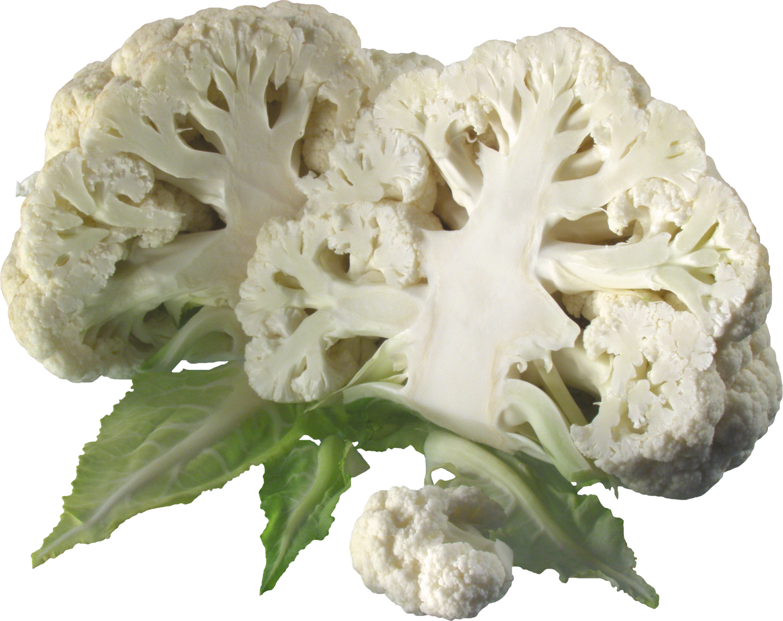 Cauliflower Transparent (1600x1271), Png Download