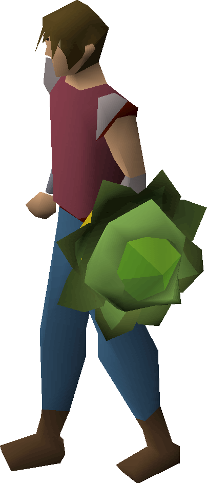 Cabbage Round Shield Equipped - Shield (404x941), Png Download