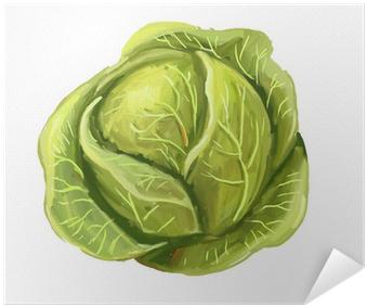 Cabbage Paint (400x400), Png Download