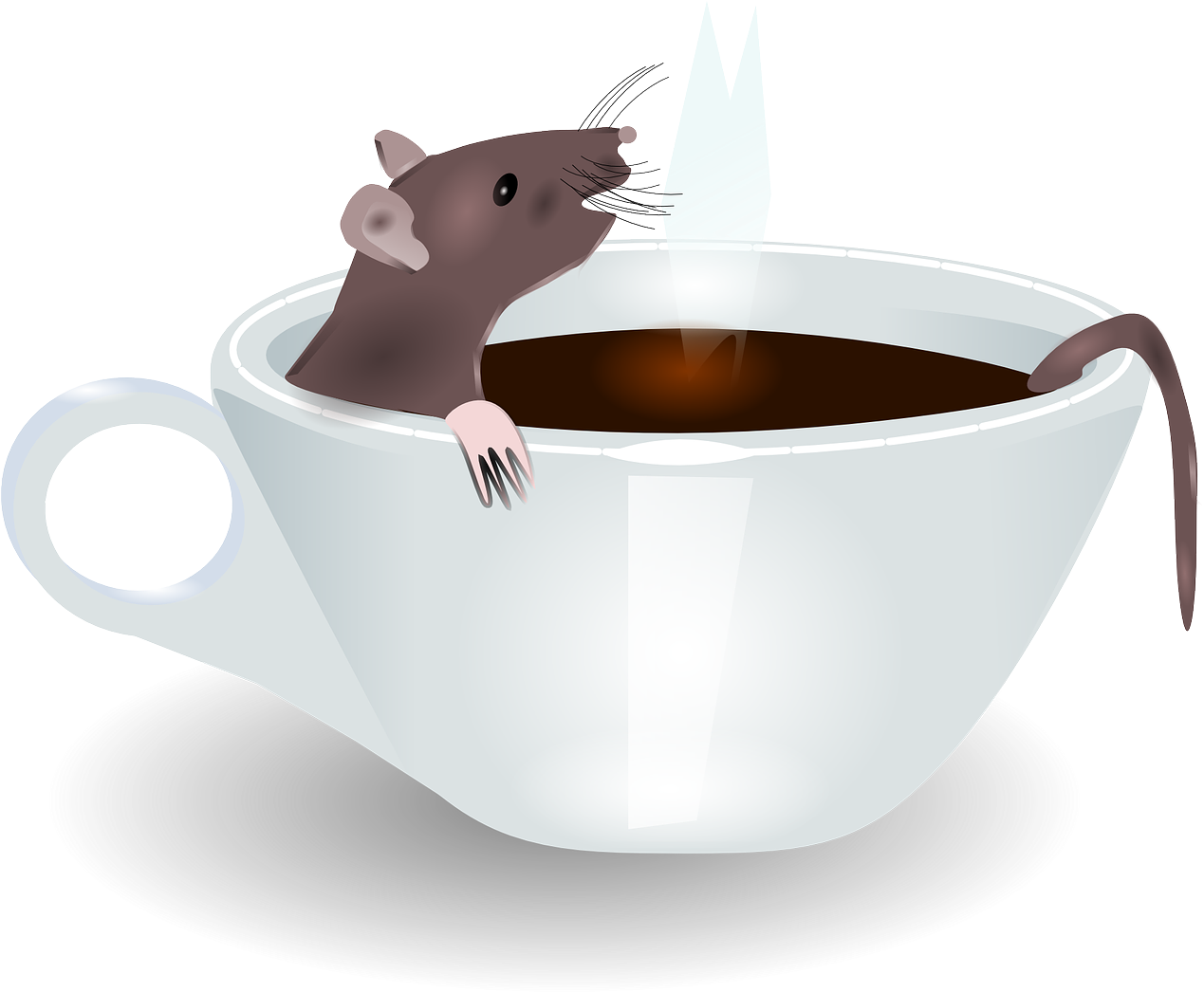 Coffee, Cup Rat Coffee Morning Steam Bath Rodent M - Rat In A Box Clipart (1280x1046), Png Download