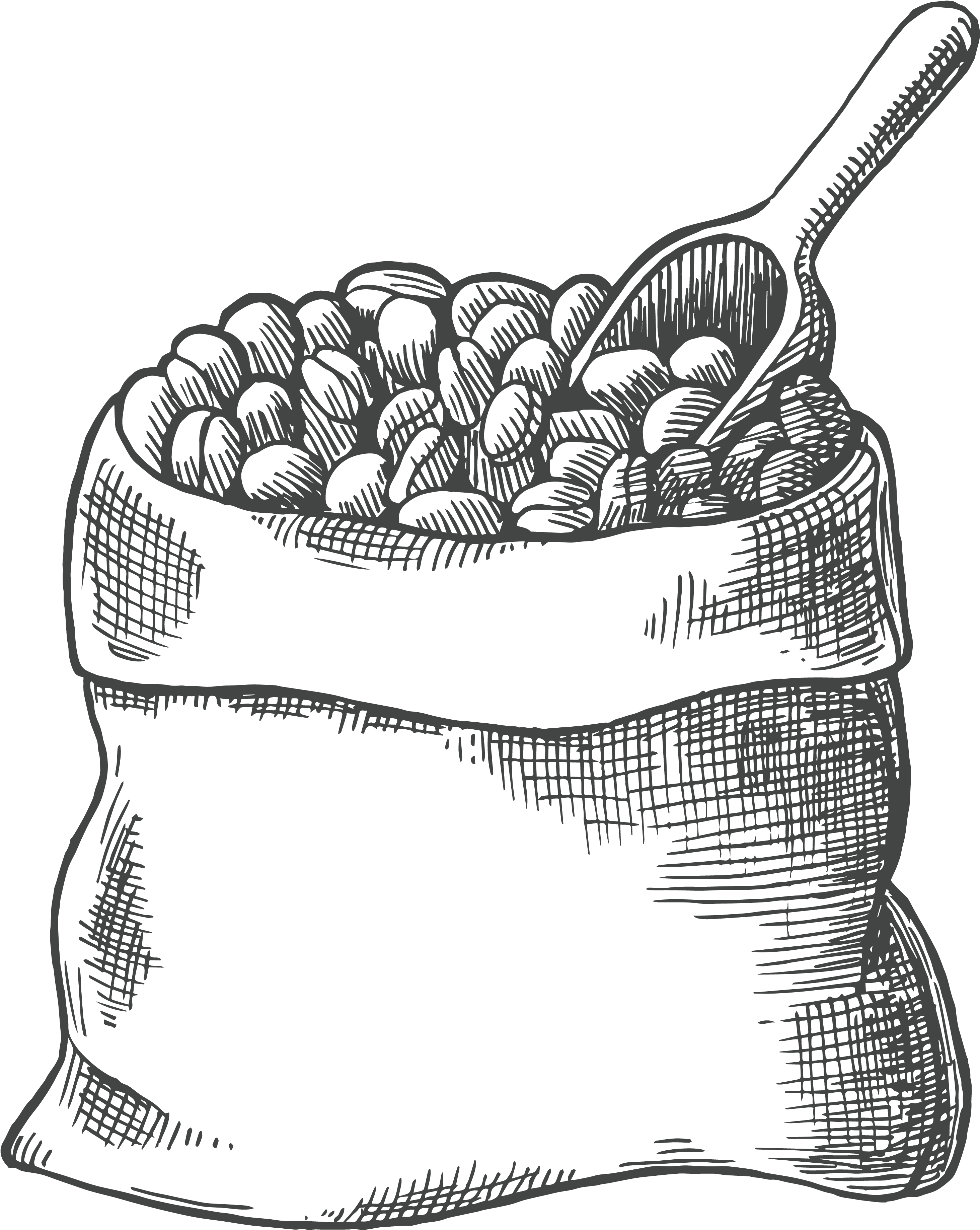 Coffee Bean Drawing Latte Cafe - Coffee Bean Drawing Png (3317x3846), Png Download