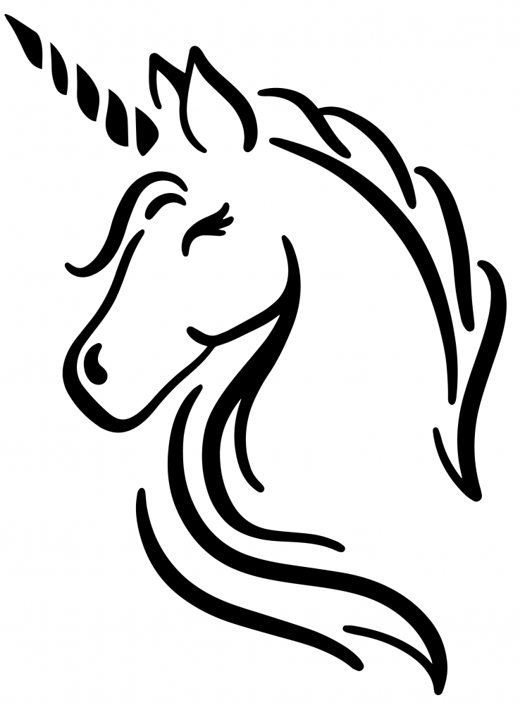 Unicorn Head - Do You Believe In Magic (1000x1000), Png Download