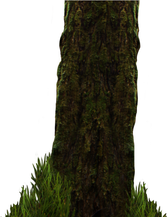 Png Image Information - Pond Pine (1280x690), Png Download