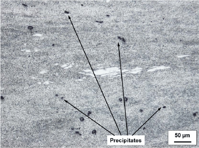 Dark Precipitates In A Microsection Of The Texture - Earrings (850x499), Png Download