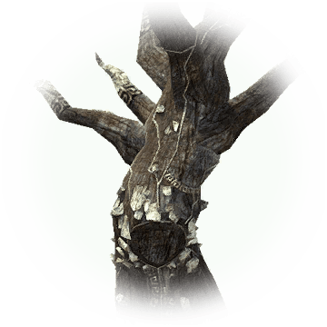Treant Old Tree - Icon (360x360), Png Download