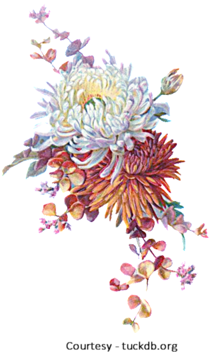 Fall Flowers A1 - Autumn Flowers Vintage Png (600x750), Png Download