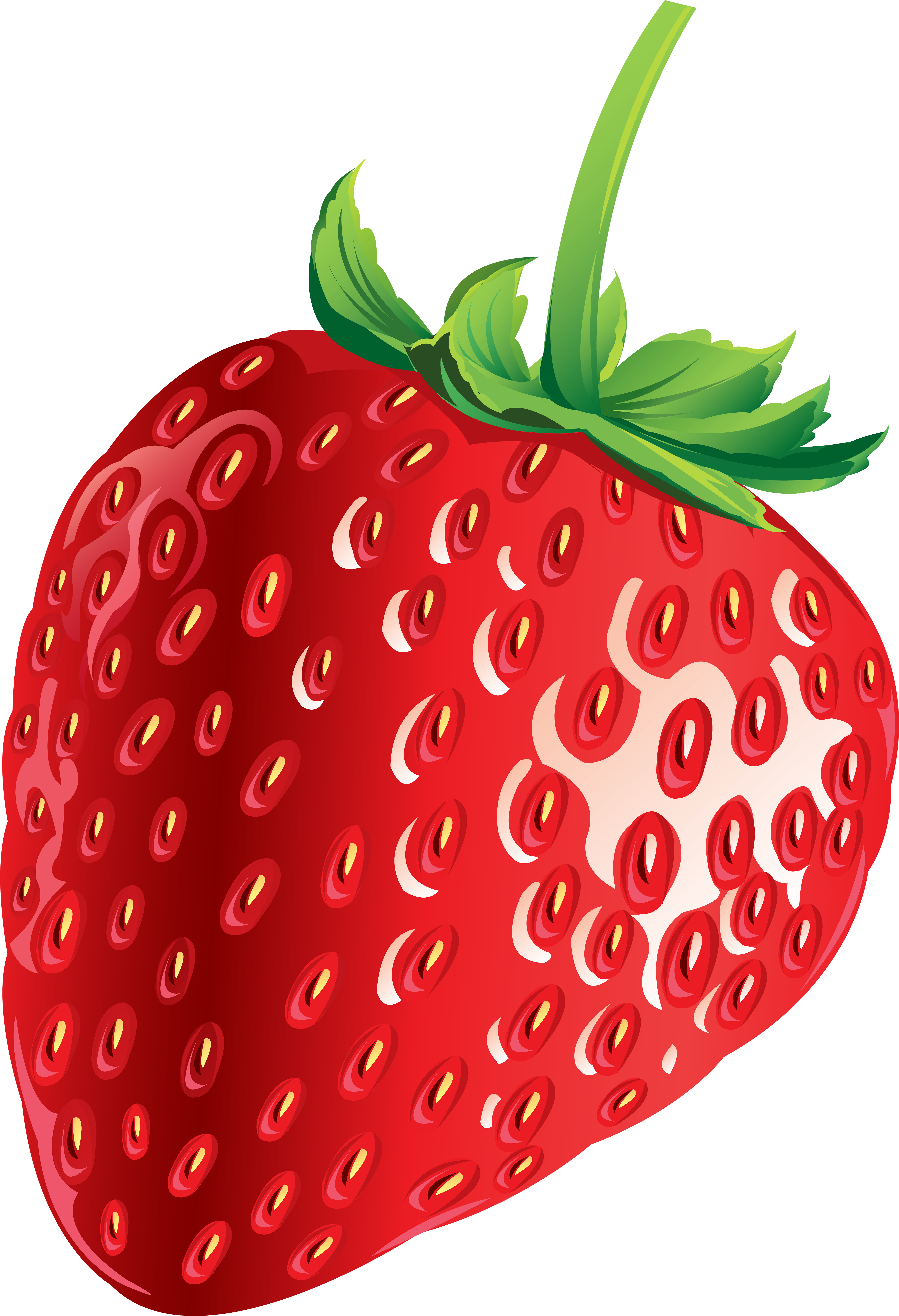 Strawberry Clipart Png Black And White Library - Strawberry Png Clipart (5471x8000), Png Download