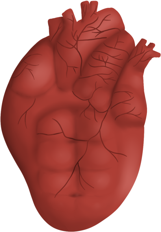 Transparent Heart With Six - Illustration (1024x1024), Png Download
