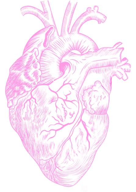 Smart B - Этюды О Природе Человека (445x649), Png Download