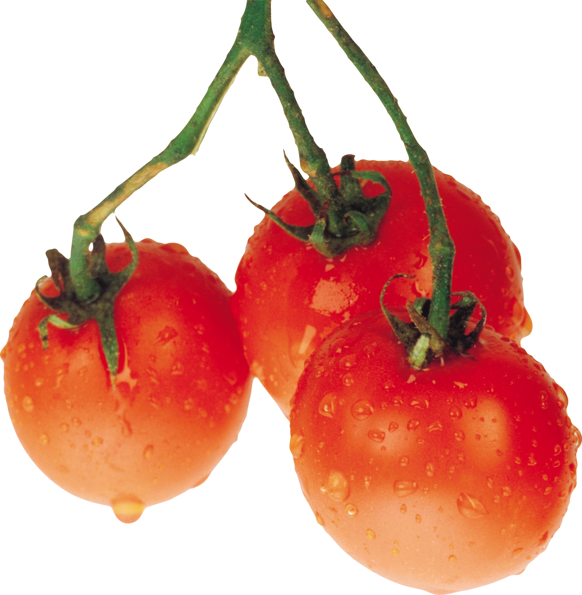 Tomatoes Png - Pomidory (1876x1917), Png Download