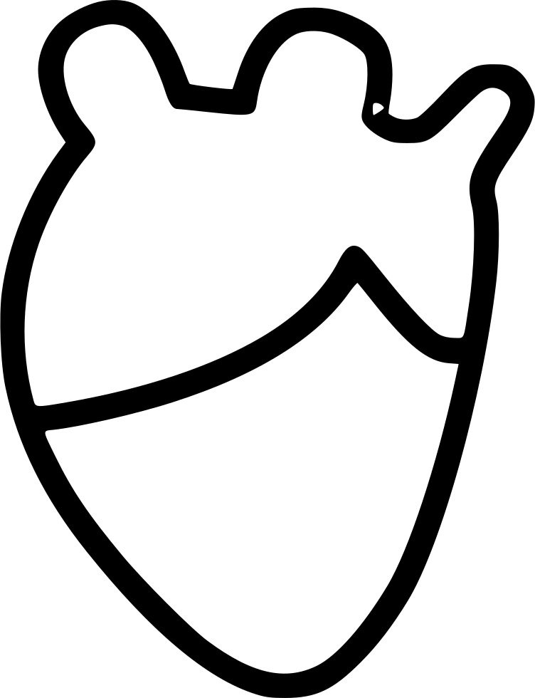 Heart Real Anatomy - Organ (752x980), Png Download