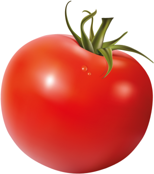 Tomatoes - Plum Tomato (866x650), Png Download