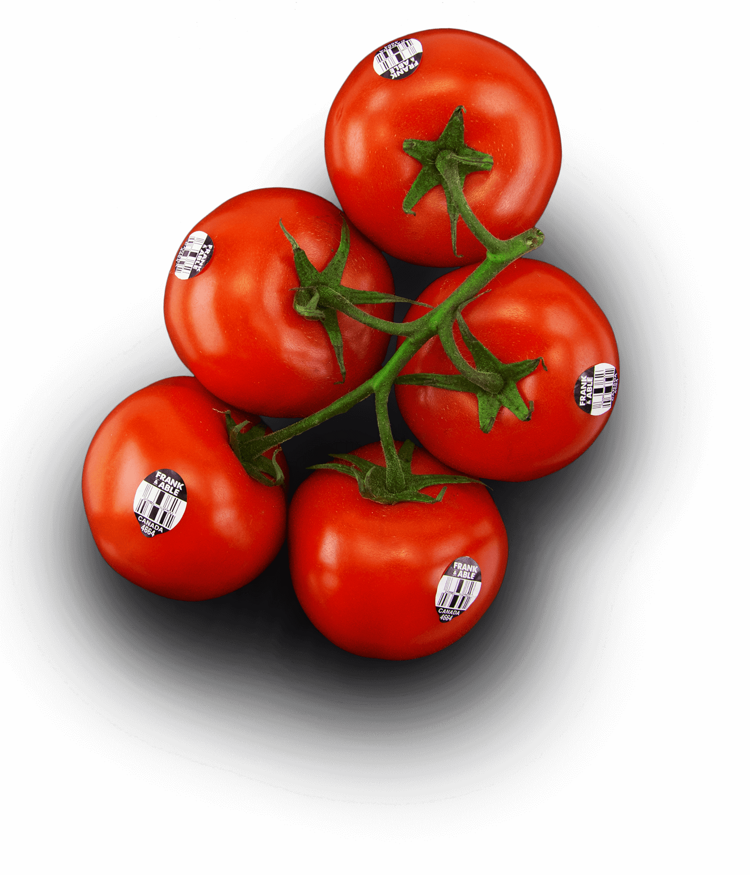 Frank & Able Tomatoes - Tomato (1500x1750), Png Download