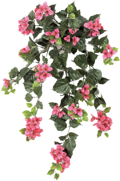 Editing Image - Ivy With Flower Png (498x415), Png Download