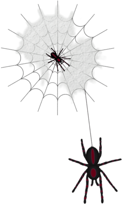 Halloween Web With Spiders Png Clipart - Spiders Png (433x719), Png Download