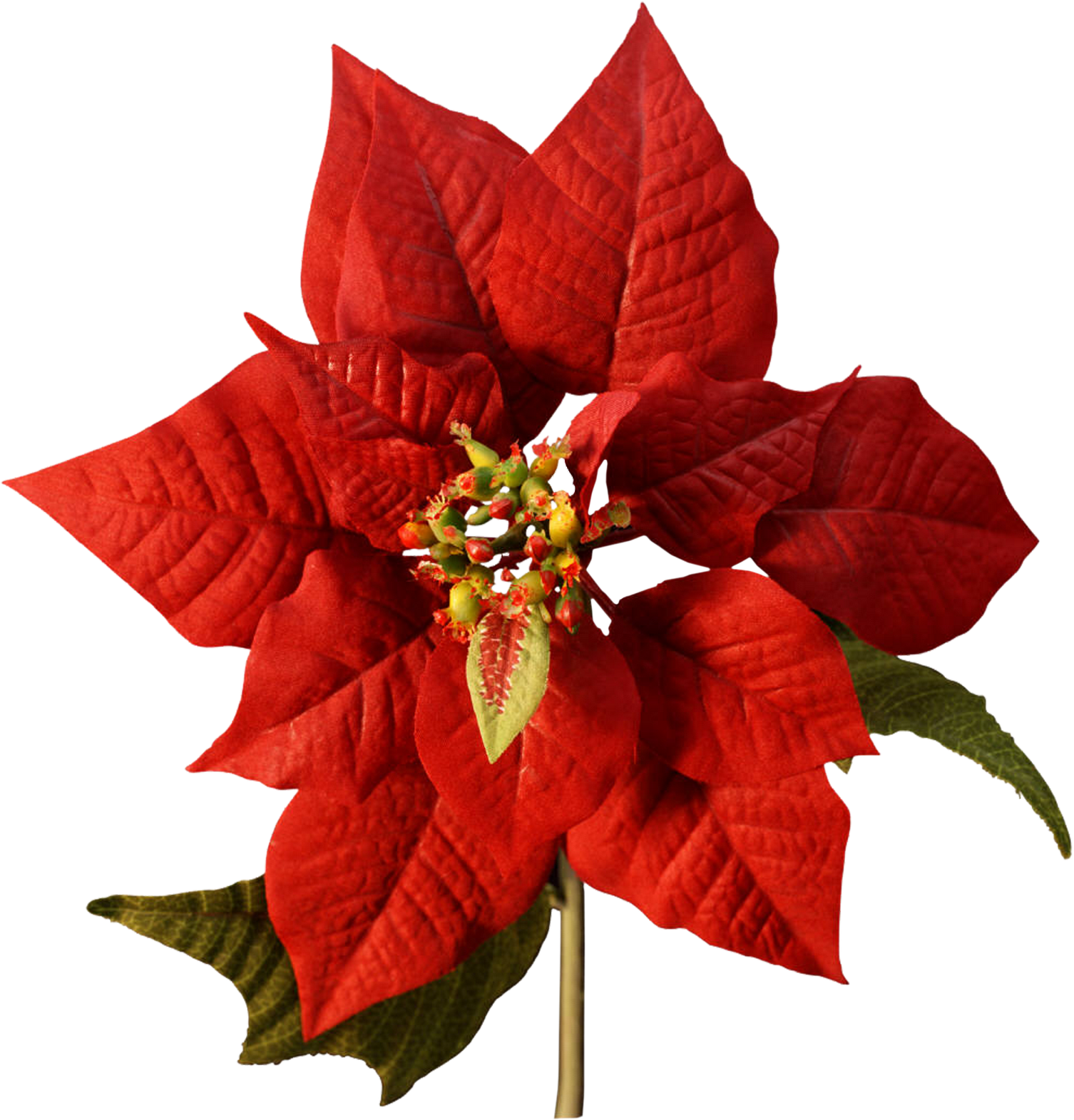 Happy Christmas Png - Various Artists / Christmas Panpipe (658x680), Png Download