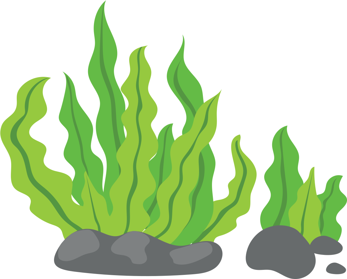Seaweed Clip Art - Seaweed Clipart (1181x1181), Png Download