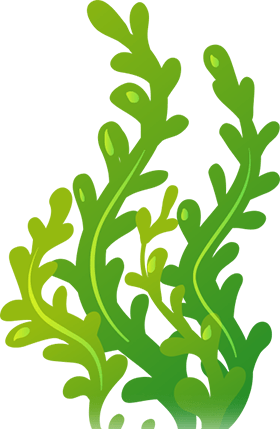 Image Title - Seaweed Clipart (280x429), Png Download