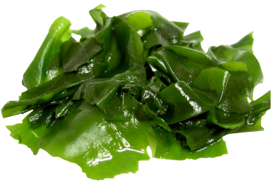 Seaweed Powder - Vi-tae Organic Anti Cellulite Soap, 4 Oz. (800x800), Png Download