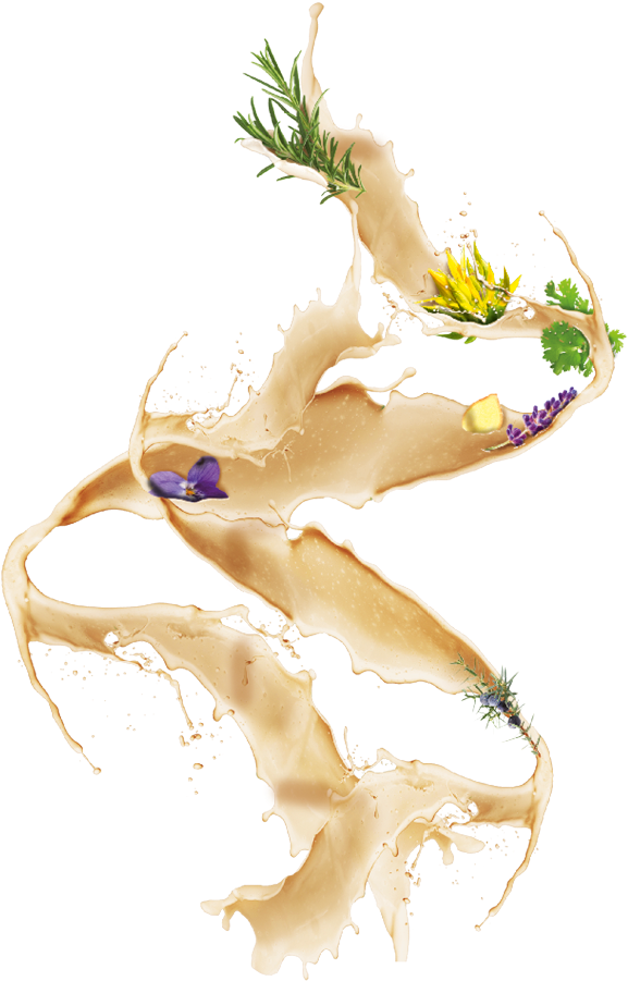 Bild1 Bild2 Bild2 - Illustration (762x1001), Png Download