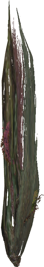 Thin Seaweed - Sketch (873x873), Png Download