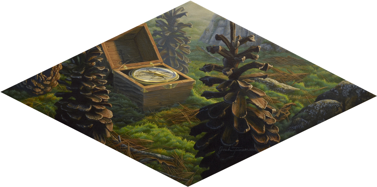 The Wood Between The Worlds - Nori (1250x621), Png Download
