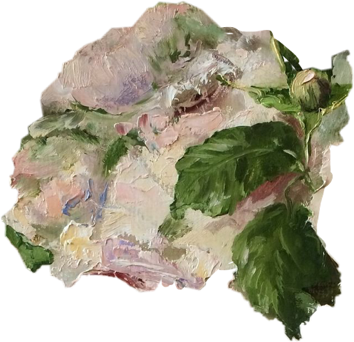Oil Paint (480x480), Png Download