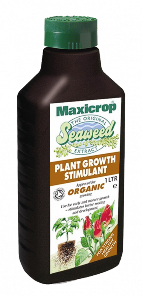 Next - Maxicrop Original Seaweed Extract (475x992), Png Download