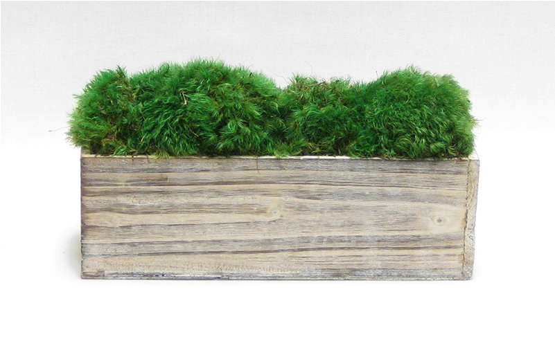 - Wooden Rect Short Container White Stain - Stain (800x800), Png Download