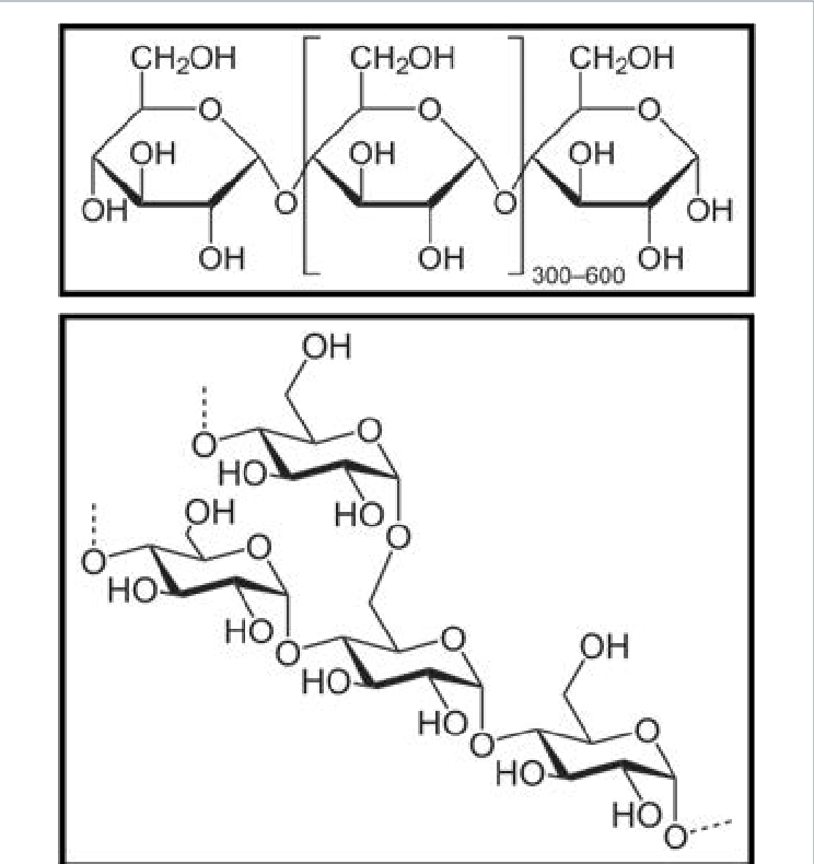 The Biochemical Compound Starch Detected By Nir Is - Starch Structure (744x790), Png Download
