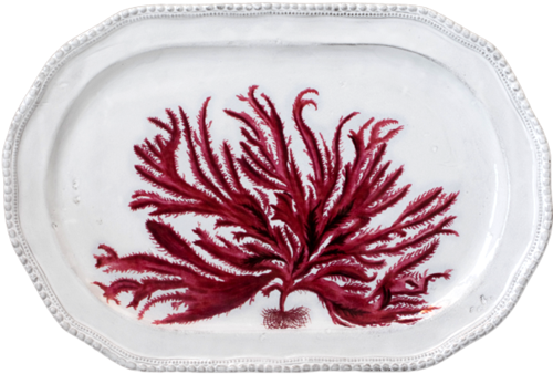 Red Seaweed Platter - Red Seaweed (500x500), Png Download