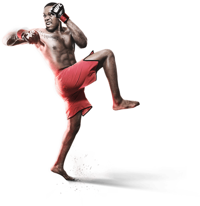 Mixed Martial Arts Png, Mma Png - Jon Jones Ufc Png (653x673), Png Download
