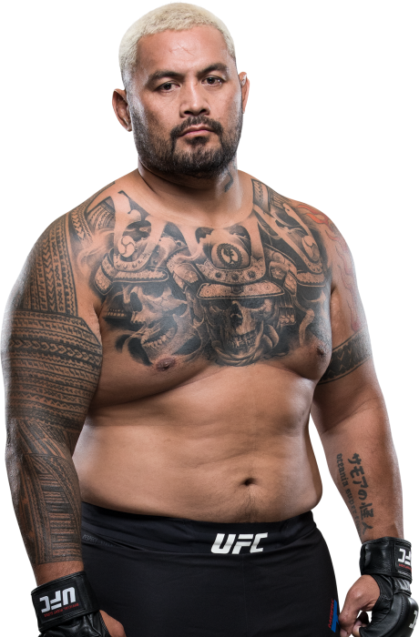Biography - Mark Hunt Vs Justin Willis (460x700), Png Download