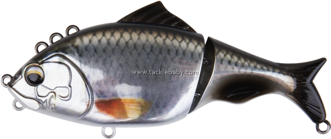 Carp (700x700), Png Download