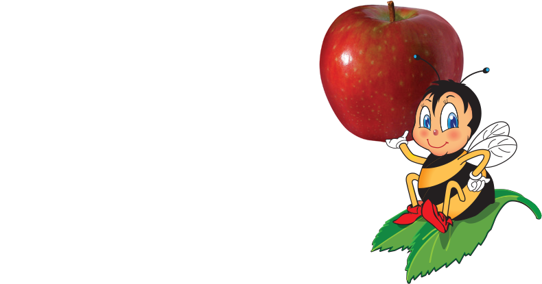 Logo Dark Logoo Light Logo - Sugarbee (790x415), Png Download