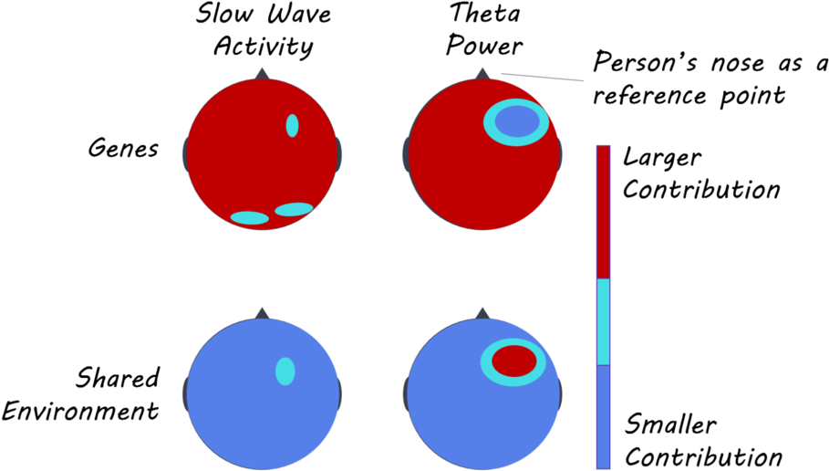 Eeg1800 - Circle (1000x550), Png Download