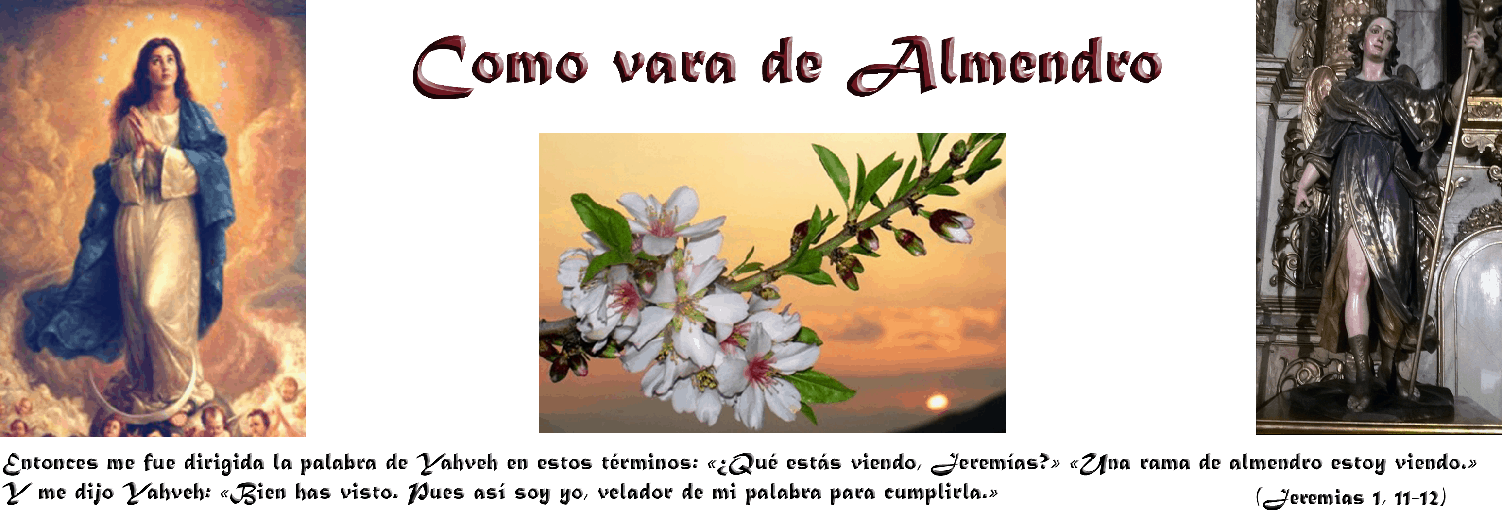 Colegio Colonos De Alerce (3091x1418), Png Download