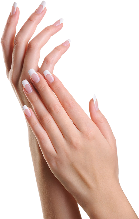 A Color For Every Occasion - Skin Hands (500x751), Png Download