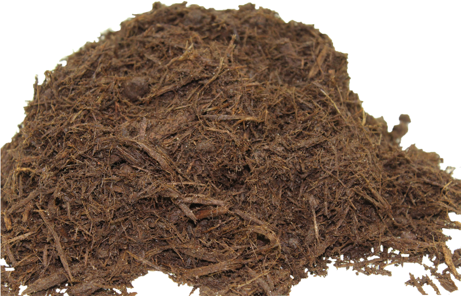 Color Enhanced Hardwood Bark - Nilgiri Tea (900x603), Png Download