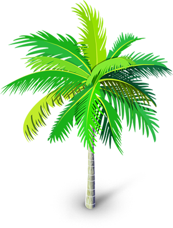 Palm Tree Png, Palm Trees, Youtube Thumbnail, Tree - Roystonea (900x900), Png Download