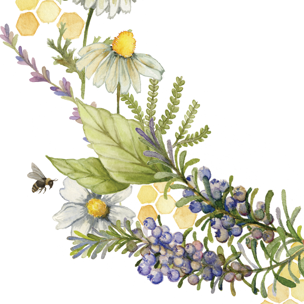 Close-up1 (1000x1000), Png Download